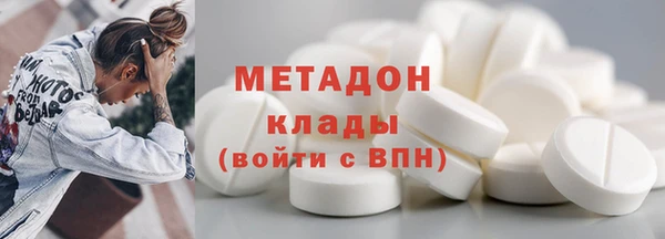 стаф Гатчина