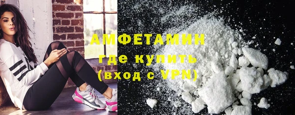 стаф Гатчина