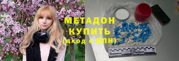 стаф Гатчина