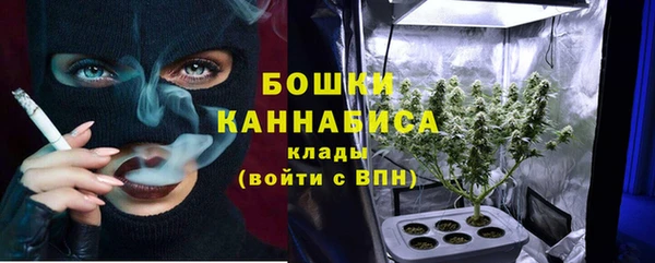 спиды Гвардейск