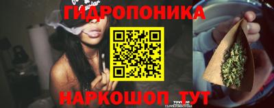 каннабис Аргун