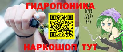 Альфа ПВП Аргун