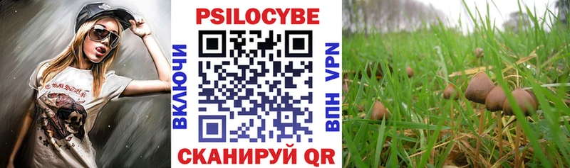 продажа наркотиков  Баксан  блэк спрут вход  Псилоцибиновые грибы Cubensis 