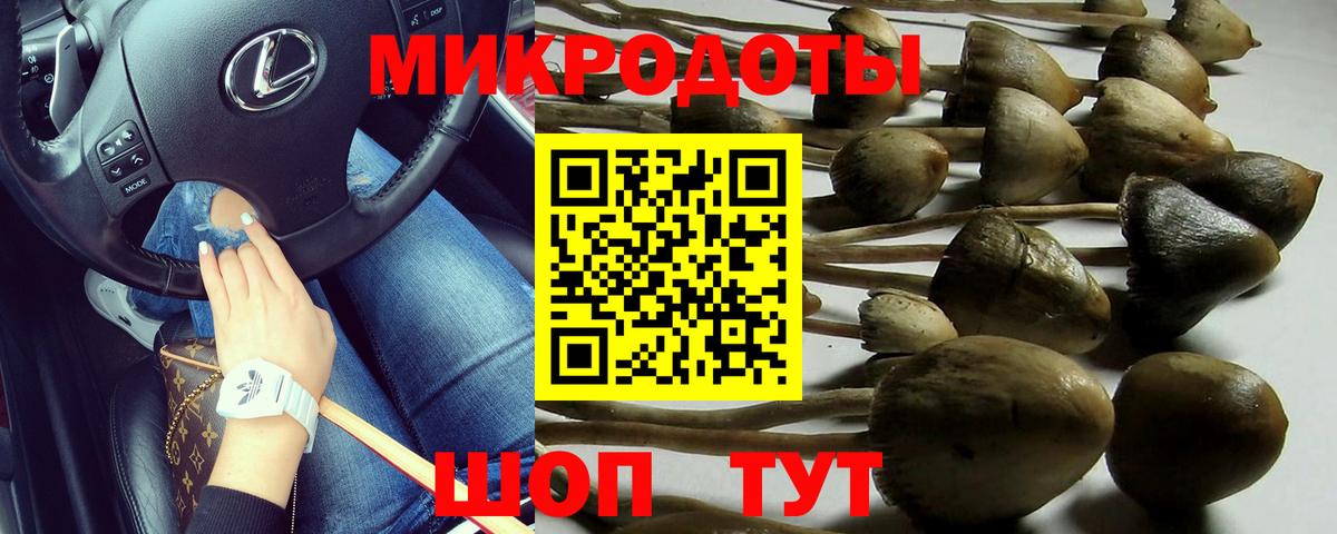 Галлюциногенные грибы мицелий Баксан