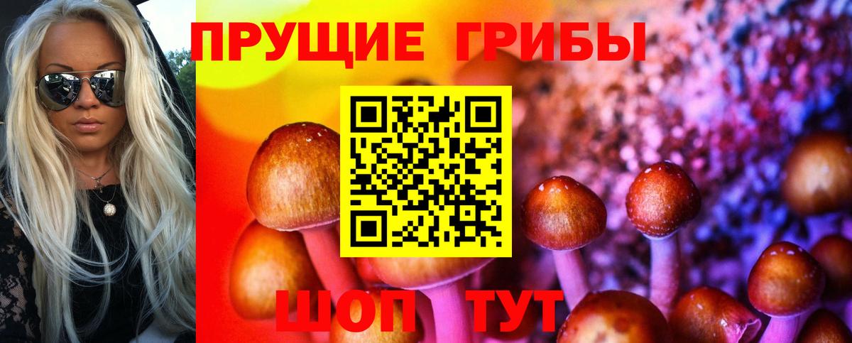 Псилоцибиновые грибы прущие грибы  Псилоцибиновые грибы Psilocybine cubensis  Баксан  Вход с VPN 